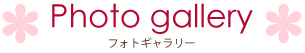 Photo gallery　フォトギャラリー